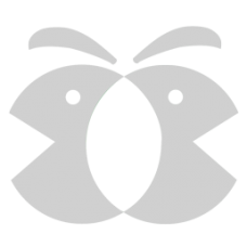 Artemis心脏健康茶 30g